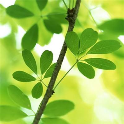 想不想修真7723版下载