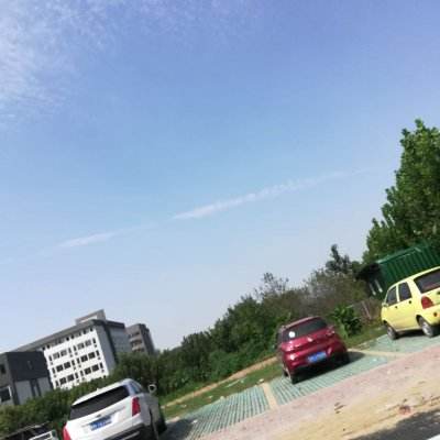 阿尔法ace国际服下载